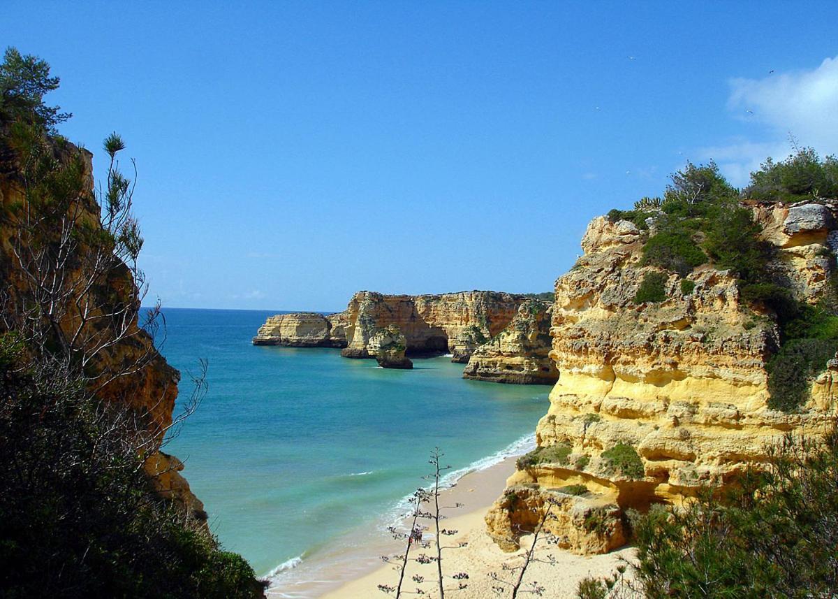 Casa Ouricos Large Pool Bbq Walk To Beach Carvoeiro  Exterior foto